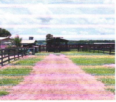 Foto 5 de 7: Area Rural em leilão em Colorado Do Oeste - RO — IMÓVEL RURAL - A.T. 16,94HA LOTE 66/A DA GLEBA 48 | COLORADO DO OESTE/RO