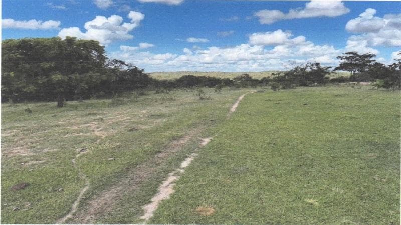 Area Rural em leilão em Campo Alegre De Goiás - GO — IMÓVEL RURAL | 474,8990 HA - FAZ. BONANZA | CAMPO ALEGRE DE GOIÁS/GO