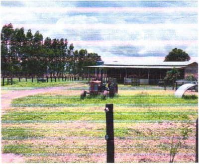 Foto 3 de 7: Area Rural em leilão em Colorado Do Oeste - RO — IMÓVEL RURAL - A.T. 16,94HA LOTE 66/A DA GLEBA 48 | COLORADO DO OESTE/RO