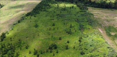 Area Rural em leilão em Janiópolis - PR — IMÓVEL RURAL COM ÁREA DE 121.000,00m2 EM JANIÓPOLIS-PR