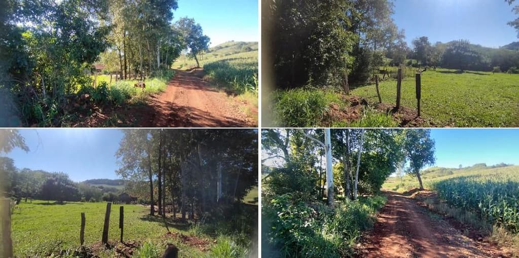 Foto 4 de 12: Area Rural em leilão em Pérola D'oeste - PR — Parte Ideal (5%) Lote Rural com A.T. 84.000m², Município de Pérola DOeste/PR