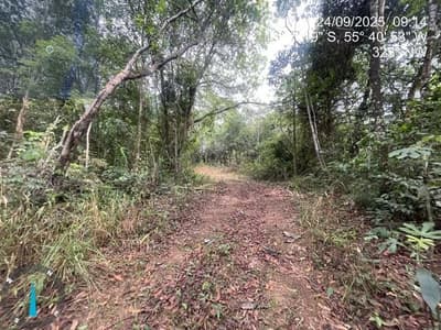 Foto 3 de 28: Area Rural em leilão em Sorriso - MT — IMÓVEL RURAL | 61,6997HA FAZ. SANTA MARIA PARCELA B | EM SORRISO/MT - DESTINAÇÃO PECUÁRIA