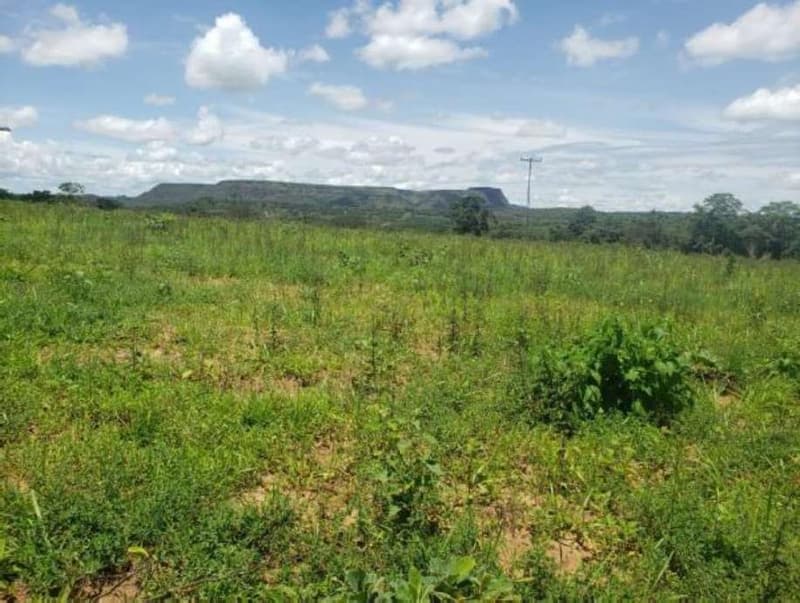Foto 10 de 11: Area Rural em leilão em Guiratinga - MT — FAZENDA MATO GROSSO 615 HECTARES