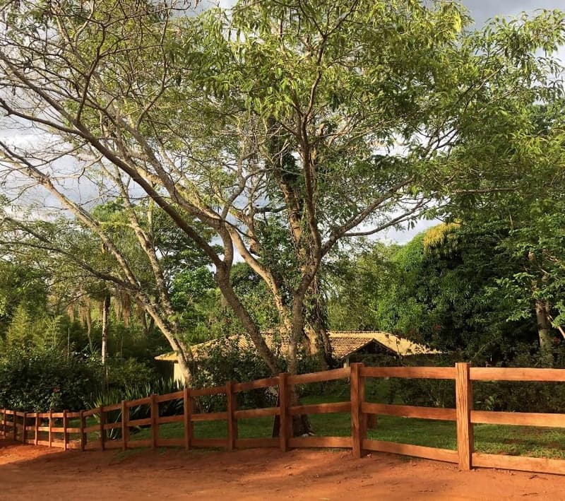 Foto 2 de 6: Terreno em leilão em Nerópolis - GO — Terreno 52ha OCUPADO em Nerópolis/GO