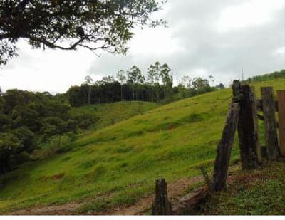 Foto 6 de 6: Terreno em leilão em Taió - SC — TERRENO RURAL com área total de 675,00 m²