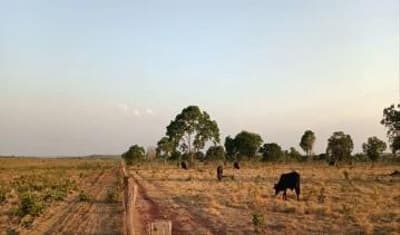 Area Rural em leilão em Dois Irmãos Do Tocantins - TO — IMÓVEL RURAL | 144,57,04HA | FAZ. PIONEIRA I EM DOIS IRMÃO DO TOCANTINS/TO - EXPLORAÇÃO DE AGROPECUÁRIA