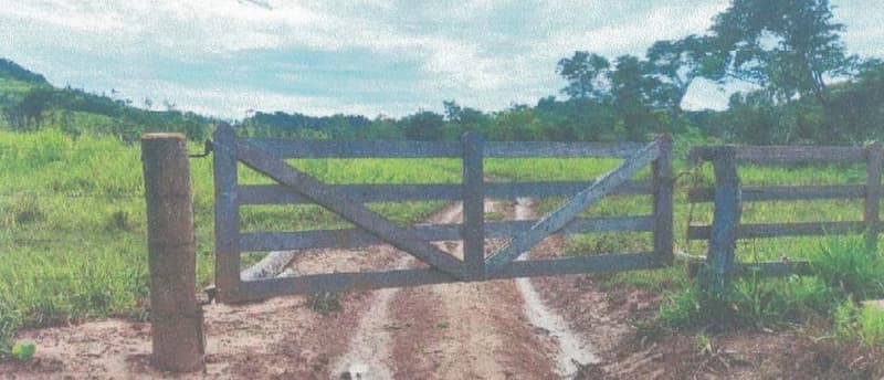 Foto 23 de 24: Area Rural em leilão em Alta Floresta D'oeste - RO — IMÓVEL RURAL | A.T 68,82 HA | ALTA FLORESTA DOESTE/RO