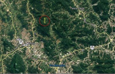 Foto 4 de 4: Area Rural em leilão em Timbó - SC — Área rural medindo 25 hectares, Estrada De Servidão, Timbó/SC - Rec Judic Porcelana Schmidt