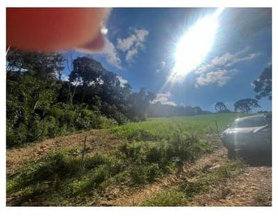 Foto 3 de 7: Terreno em leilão em Mafra - SC — Terreno rural sem benfeitorias