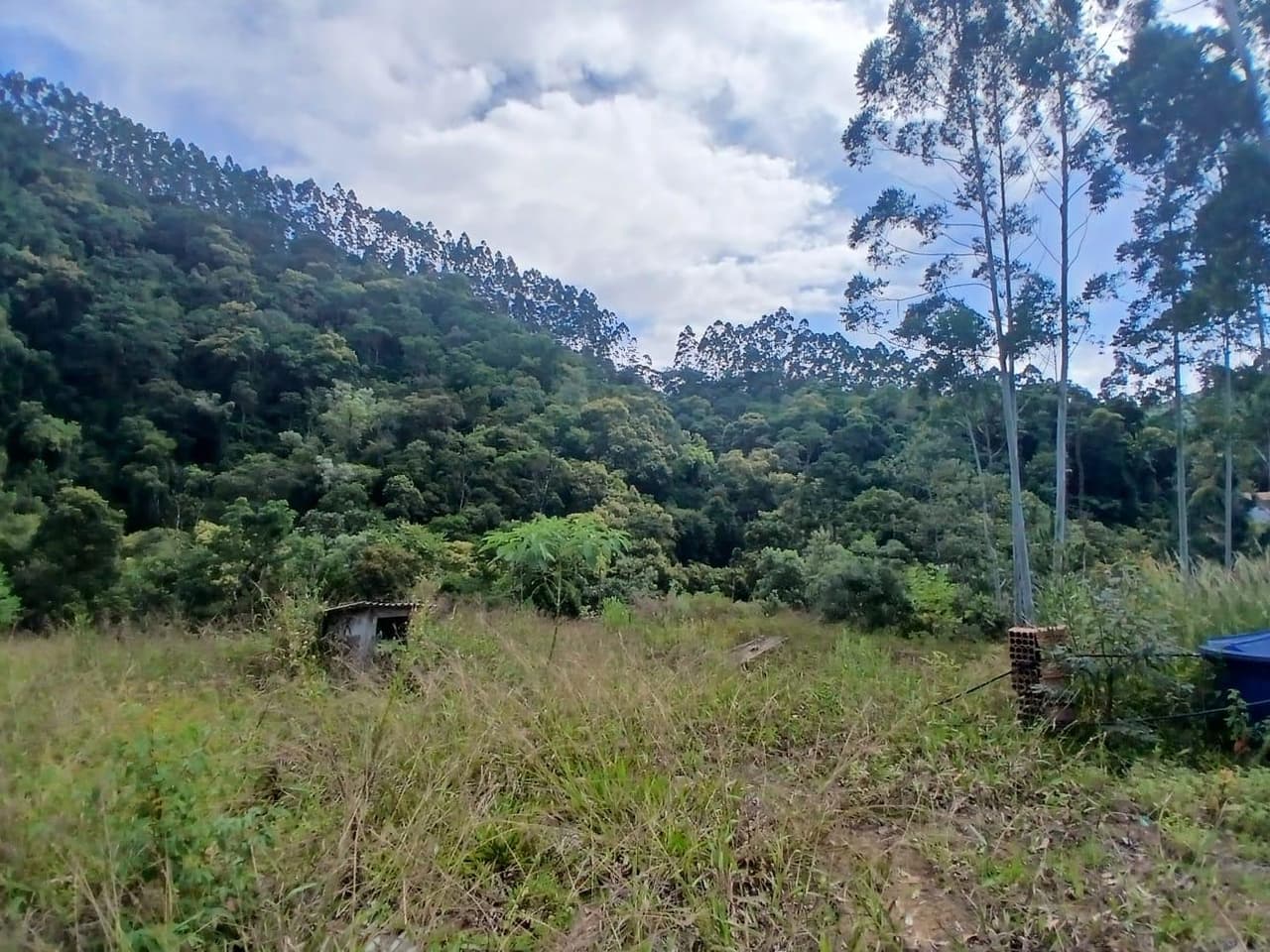 Foto 15 de 18: Area Rural em leilão em Anitápolis - SC — IMÓVEL RURAL COM ÁREA TOTAL DE 30.704,71m². EM ANITÁPOLIS-SC