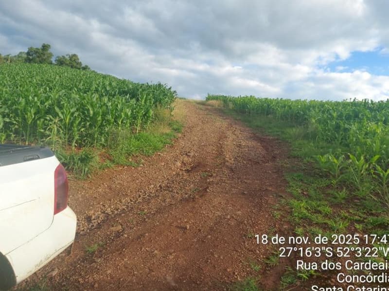 Terreno em leilão em Concórdia - SC — IMÓVEL RURAL COM ÁREA TOTAL DE 3,692993 hectares EM CONCÓRDIA DO OESTE-SC