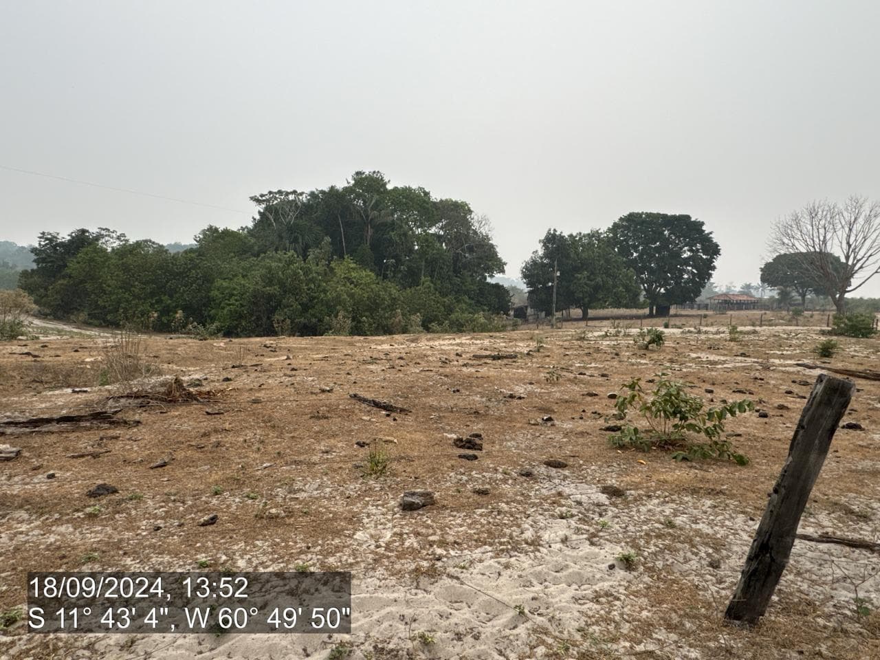 Foto 12 de 20: Area Rural em leilão em Pimenta Bueno - RO — IMÓVEL RURAL | A. T. 63,4635 HA | PIMENTA BUENO/RO - LEILÃO EMPRESARIAL SISTÊMICO SICREDI