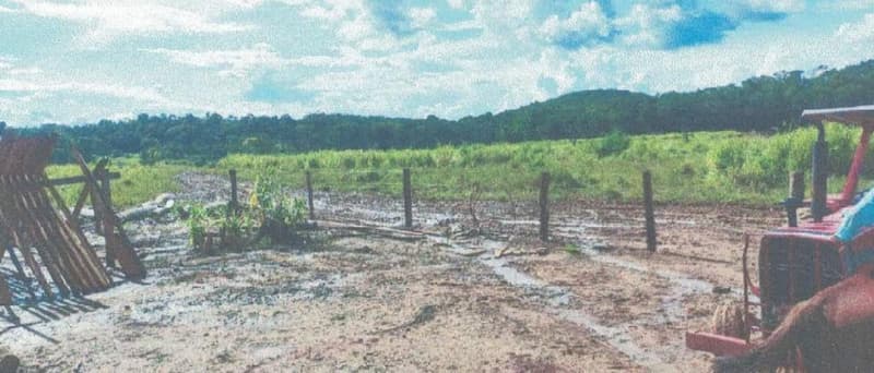 Foto 7 de 24: Area Rural em leilão em Alta Floresta D'oeste - RO — IMÓVEL RURAL | A.T 68,82 HA | ALTA FLORESTA DOESTE/RO