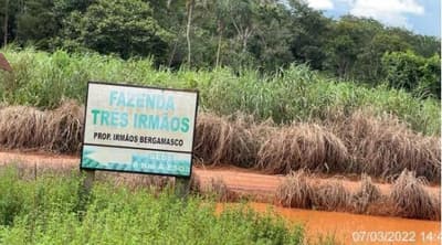 Foto 1 de 8: Area Rural em leilão em Tapurah - MT — Fazenda, Ocupado, TAPURAH / MT