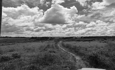 Foto 10 de 21: Terreno em leilão em Pimenta Bueno - RO — Fração ideal de 1,1% lotes de terras rural n. 82 e 92 com área total de 3.676,0340ha, Pimenta Bueno/RO