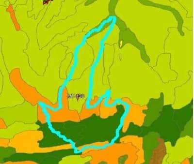 Area Rural em leilão em Paranatinga - MT — Imóvel rural com área de 363,00 hectares, situado Município de Paranatinga-MT