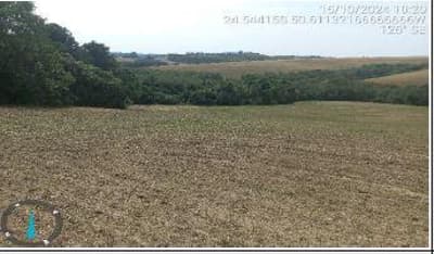 Foto 9 de 10: Area Rural em leilão em Tibagi - PR — IMÓVEL RURAL | A.T. 48,1194HA FAZ. ARAGUARI (AGRICULTURA) | TIBAGI/PR