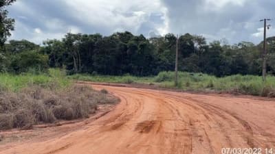 Foto 4 de 8: Area Rural em leilão em Tapurah - MT — Fazenda, Ocupado, TAPURAH / MT