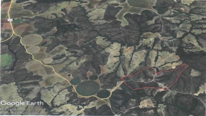 Foto 3 de 4: Area Rural em leilão em Campo Alegre De Goiás - GO — IMÓVEL RURAL | 474,8990 HA - FAZ. BONANZA | CAMPO ALEGRE DE GOIÁS/GO