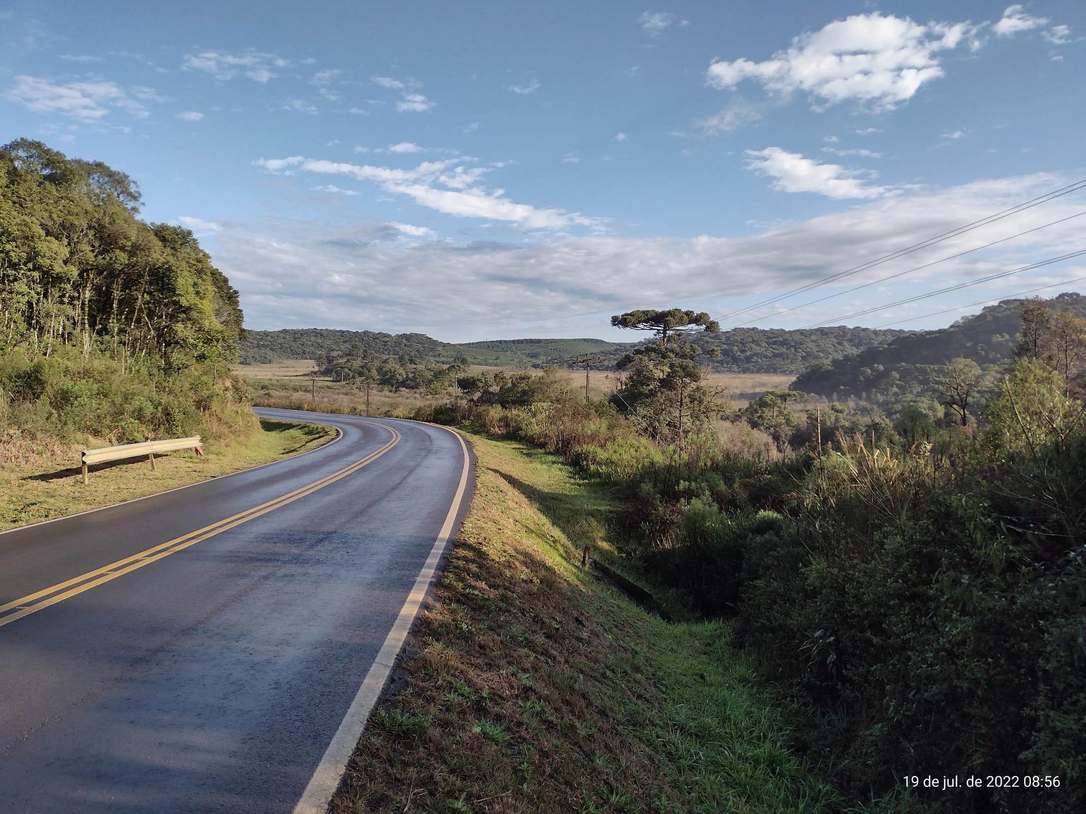Foto 36 de 50: Terreno em leilão em Irati - PR — Terreno rural com área de 74.282,70m², Irati/PR