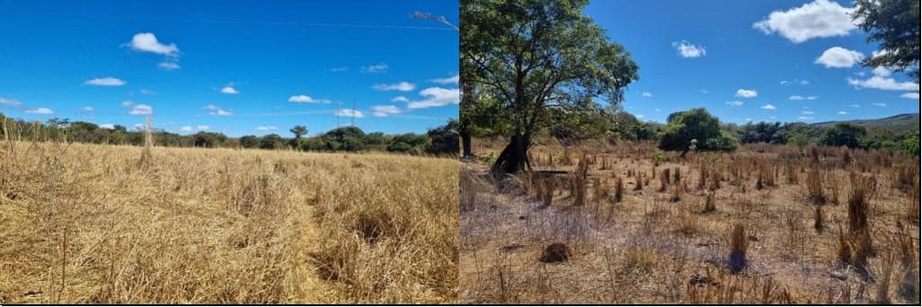 Foto 2 de 2: Area Rural em leilão em Formoso - MG — Imóvel Rural Com área total de 139,1041 hectares - Formoso-MG