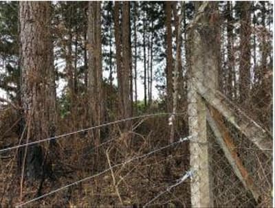 Foto 4 de 6: Terreno em leilão em Taió - SC — TERRENO RURAL com área total de 183,33 m²