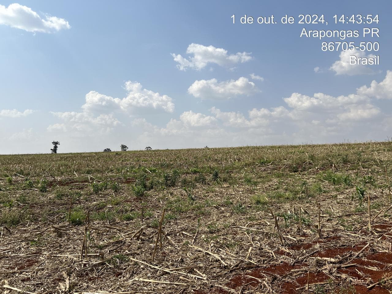 Foto 17 de 21: Area Rural em leilão em Arapongas - PR — Fração ideal de 6,255% do Lote rural, coma área 28100,83m², Arapongas/PR