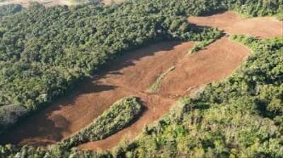 Foto 3 de 6: Area Rural em leilão em Nova Esperança Do Sudoeste - PR — IMÓVEL RURAL COM ÁREA TOTAL DE 60.500,00 m² (6,05 hectares) - NOVA ESPERANÇA DO SUDOESTE/PR