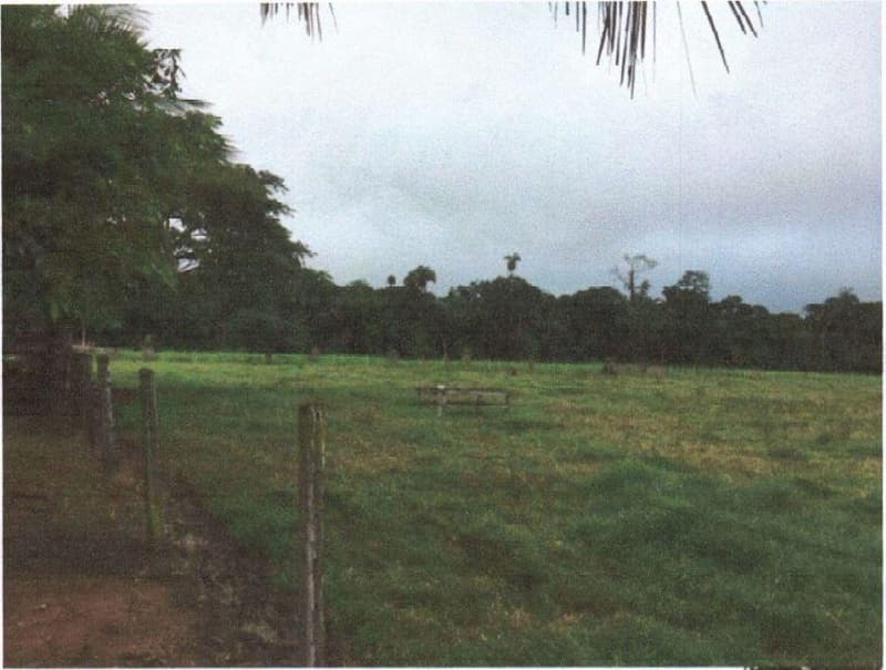 Foto 2 de 2: Area Rural em leilão em Cotriguaçu - MT — IMÓVEL RURAL COM 9,32HA EM COTRIGUAÇU-MT