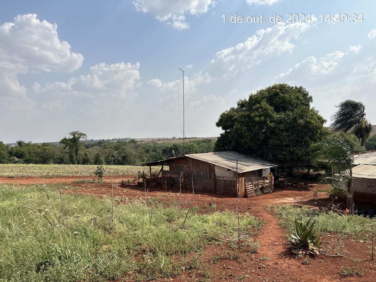 Foto 8 de 21: Area Rural em leilão em Arapongas - PR — Fração ideal de 6,255% do Lote rural, coma área 28100,83m², Arapongas/PR