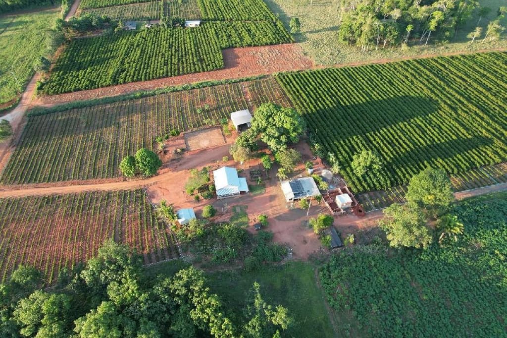 Foto 5 de 5: Area Rural em leilão em Alta Floresta D'oeste - RO — IMÓVEL RURAL | 22,93618 HA - SÍTIO SÃO FRANCISCO - SETOR PARECIS | ALTA FLORESTA D'OESTE/RO