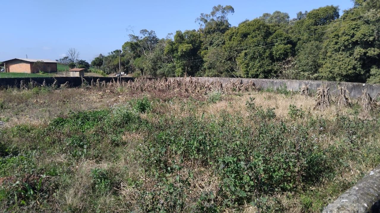Foto 1 de 6: Terreno em leilão em Imbuia - SC — TERRENO RURAL COM ÁREA DE 1.600M² LOCALIZADO EM IMBUIA/SC