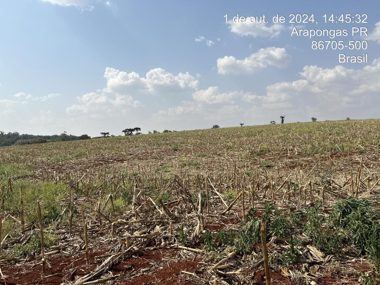 Foto 3 de 21: Area Rural em leilão em Arapongas - PR — Fração ideal de 6,255% do Lote rural, coma área 28100,83m², Arapongas/PR