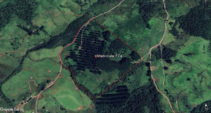 Foto 1 de 16: Area Rural em leilão em Pinhão - PR — Imóvel rural, 242.766,02 m², denominado Torres, Município e Comarca de Pinhão-PR