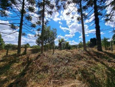 Terreno em leilão em Pinhão - PR — Terreno Rural com área de 3.187,47 HA, situado no Município de Pinhão/PR