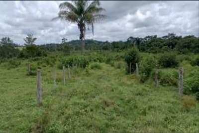 Foto 2 de 9: Area Rural em leilão em Alta Floresta - MT — IMÓVEL RURAL | 68,88HA - SITUADO NO LOTEAMENTO NOVA BANDEIRANTES/MT