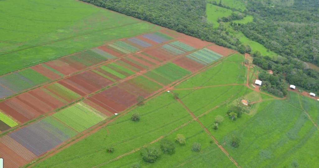 Foto 1 de 6: Terreno em leilão em Nerópolis - GO — Terreno 52ha OCUPADO em Nerópolis/GO
