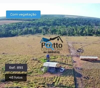 Foto 6 de 10: Area Rural em leilão em Colorado Do Oeste - RO — IMÓVEL RURAL | GLEBA 34 | 45,7370HA - COLORADO DO OESTE/RO