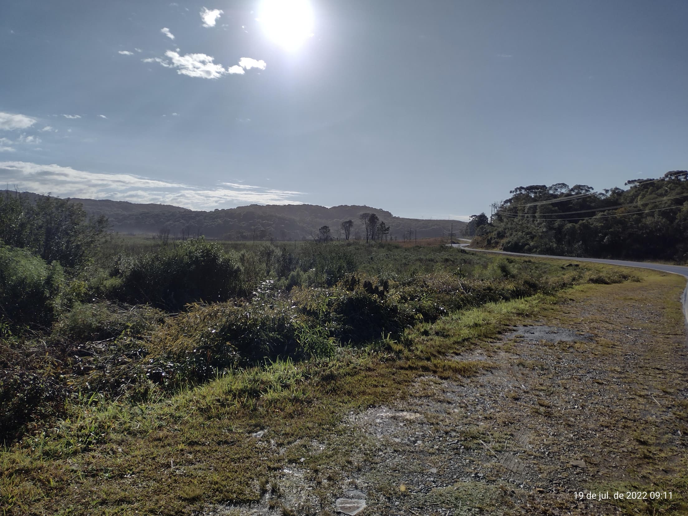 Foto 19 de 50: Terreno em leilão em Irati - PR — Terreno rural com área de 74.282,70m², Irati/PR