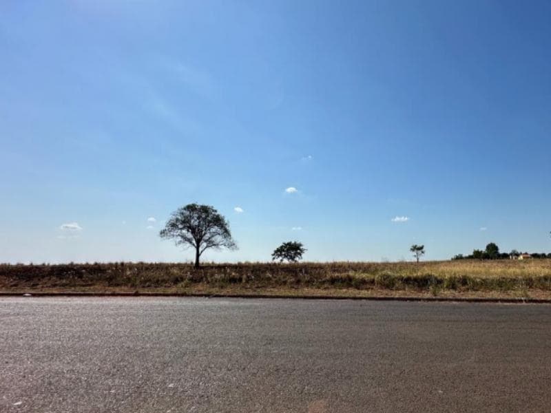 Foto 3 de 4: Terreno em leilão em Piacatu - SP, bairro Centro — Lote, 150.0 m2, Piacatu / SP