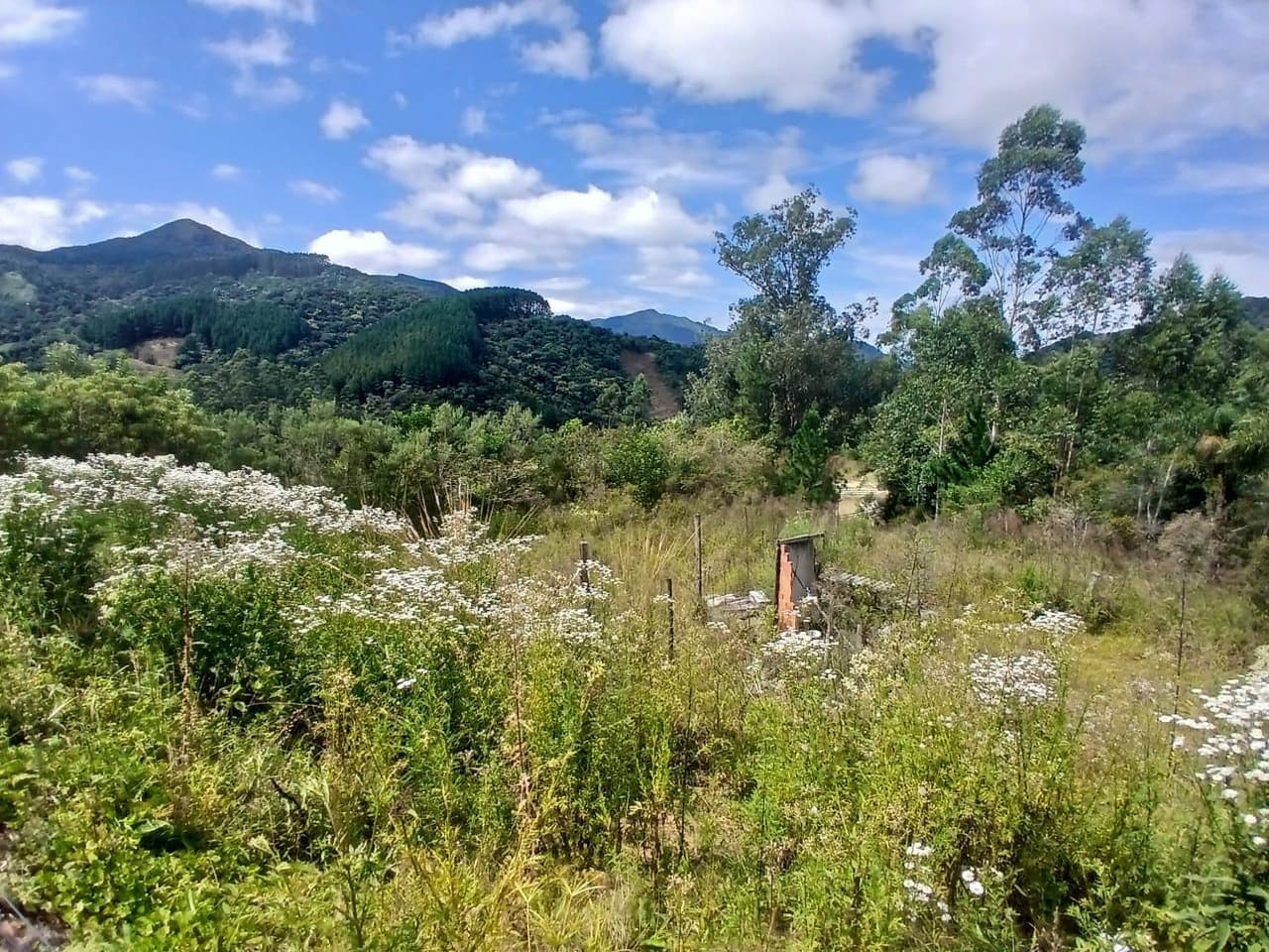 Foto 14 de 18: Area Rural em leilão em Anitápolis - SC — IMÓVEL RURAL COM ÁREA TOTAL DE 30.704,71m². EM ANITÁPOLIS-SC