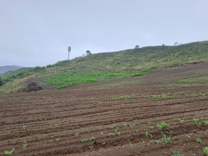 Foto 14 de 25: Area Rural em leilão em Correia Pinto - SC — IMÓVEL RURAL COM ÁREA TOTAL DE 121.000M² - CORREIA PINTO/SC