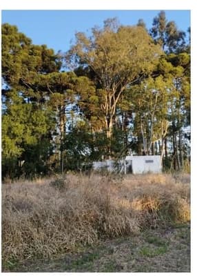 Foto 10 de 10: Terreno em leilão em Curitiba - PR, bairro Umbará — Terreno com área de 110.260,75m² localizado no bairro Umbará em Curitiba - Paraná