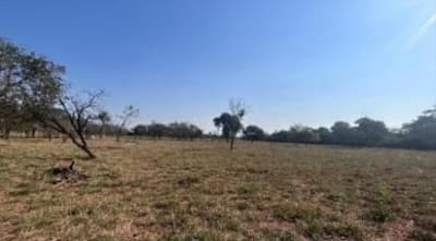 Foto 2 de 19: Area Rural em leilão em Sidrolândia - MS — IMÓVEL RURAL COM ÁREA TOTAL DE 6,98480 hectares EM SIDROLÂNDIA-MS