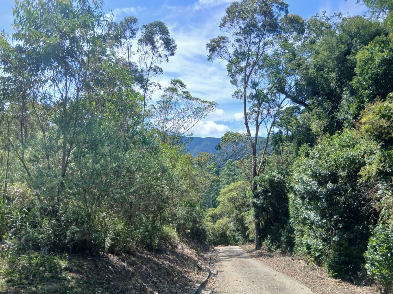 Foto 4 de 11: Area Rural em leilão em Anitápolis - SC, bairro Vila Nas Montanhas — IMÓVEL RURAL COM ÁREA TOTAL DE 20.000,00 M2 EM ANITÁPOLIS-SC