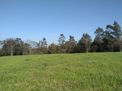 Foto 6 de 9: Area Rural em leilão em Nova Esperança - PR — IMÓVEL RURAL COM ÁREA TOTAL DE 30.548,00 m2 EM NOVA ESPERANÇA-PR