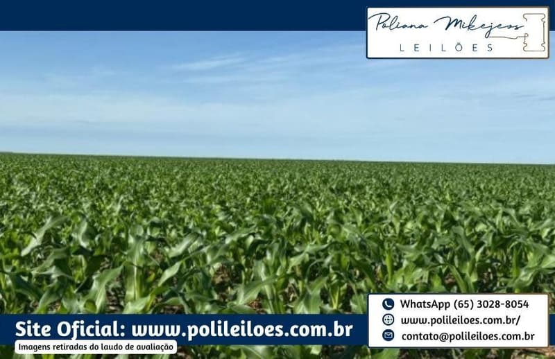 Foto 2 de 7: Area Rural em leilão em Sorriso - MT — Área Rural, Fração Ideal 157,7447ha, AT. 315,489ha, denominado Dal, Bosco Fazenda Rondinha II, Gleba Rio Verde/Lote Primavera, Sorriso/MT