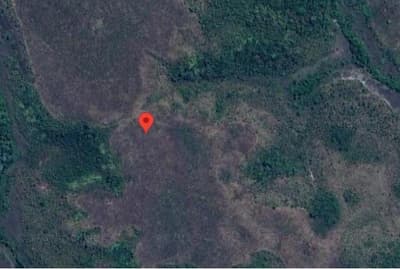 Area Rural em leilão em Rio Sono - TO — FAZENDA SANTA RITA DE CÁSSIA