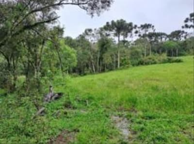 Foto 8 de 24: Area Rural em leilão em Correia Pinto - SC — IMÓVEL RURAL COM ÁREA TOTAL DE 122.223m² - CORREIA PINTO/SC
