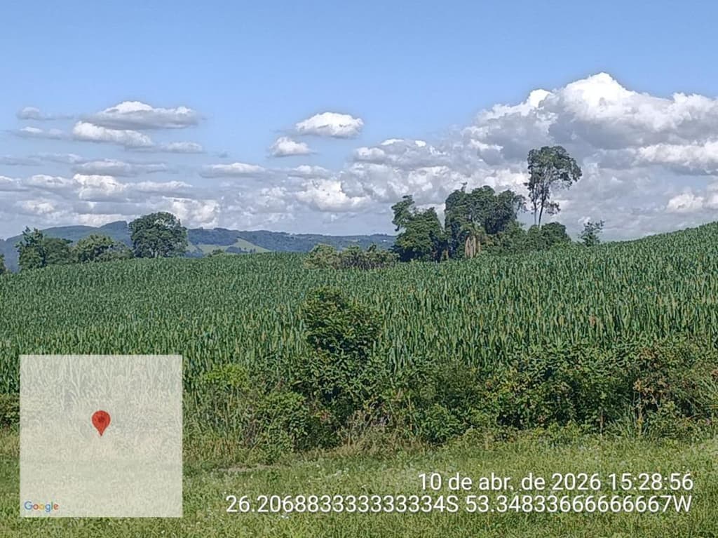 Foto 4 de 8: Area Rural em leilão em Salgado Filho - PR — IMÓVEL RURAL COM ÁREA TOTAL DE 92.407,85 m2- Em SALGADO FILHO/PR